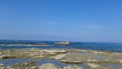 Domenica tempo bello. Da lunedì inizia la lunga fase calda!!!