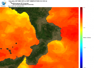 Mari ancora molto caldi...facciamo il punto