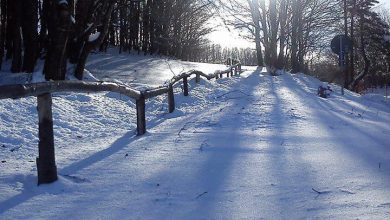 Sarà una domenica MOLTO FREDDA!