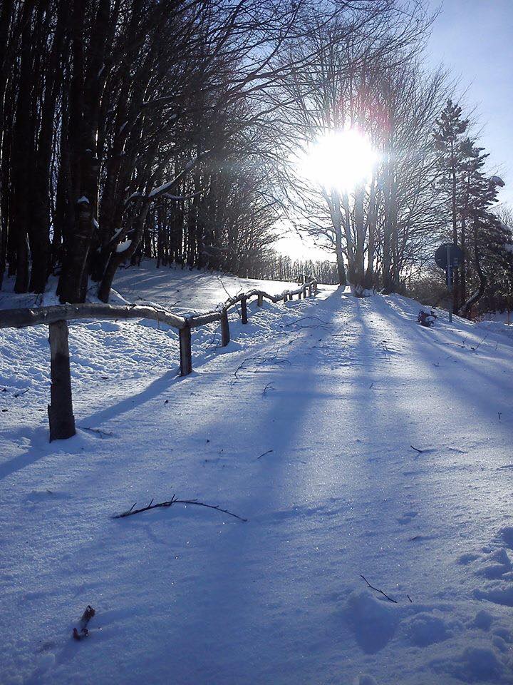 Sarà una domenica MOLTO FREDDA!