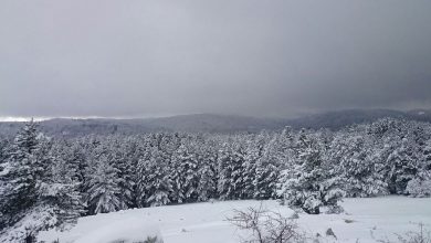 Le colline calabresi si svegliano con la neve!