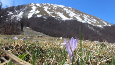 Resoconto climatico di Aprile 2016: l'ennesimo mese anomalo!