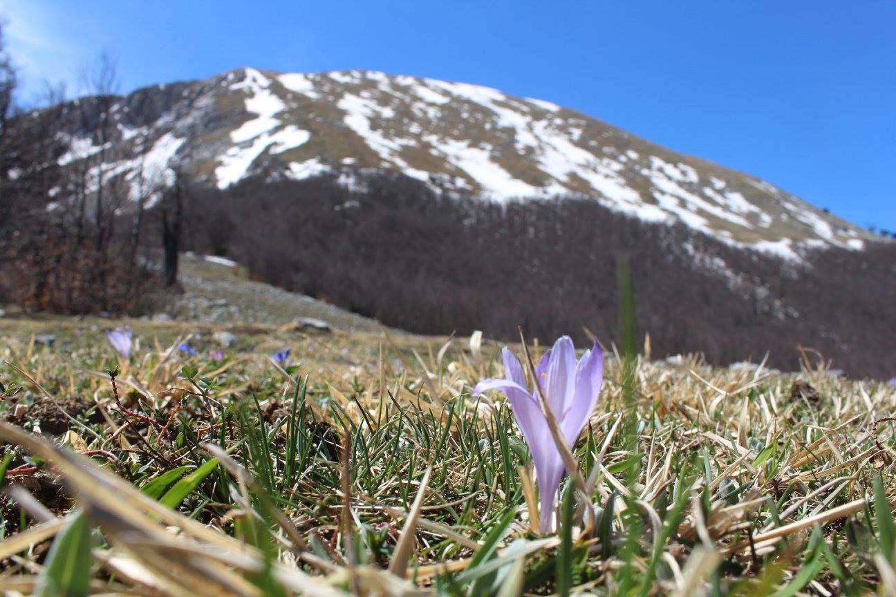 Resoconto climatico di Aprile 2016: l'ennesimo mese anomalo!