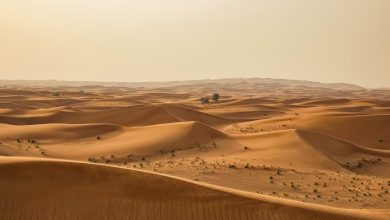 Meteo mercoledì e giovedì: ancora gran caldo!