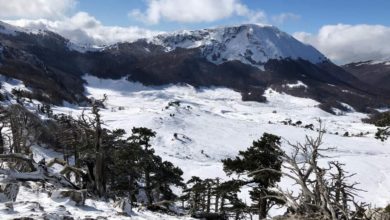 Pollino neve poco nuvoloso pino loricato