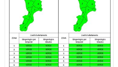 Criticità idrogeologica-idraulica e temporali in Calabria 02-12-2019