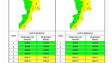 Criticità idrogeologica-idraulica e temporali in Calabria 03-12-2019