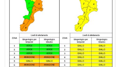 Criticità idrogeologica-idraulica e temporali in Calabria 05-12-2019