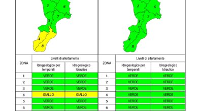 Criticità idrogeologica-idraulica e temporali in Calabria 06-12-2019