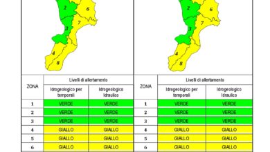 Criticità idrogeologica-idraulica e temporali in Calabria 10-12-2019