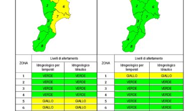 Criticità idrogeologica-idraulica e temporali in Calabria 11-12-2019