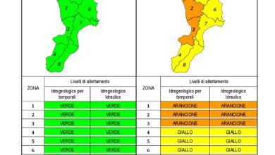 Criticità idrogeologica-idraulica e temporali in Calabria 12-12-2019