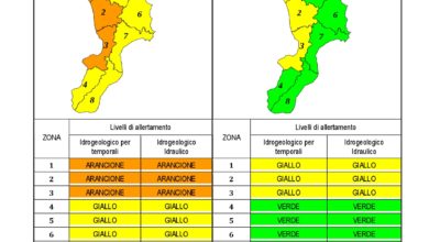 Criticità idrogeologica-idraulica e temporali in Calabria 13-12-2019