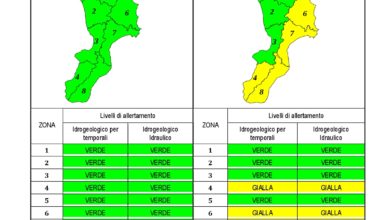 Criticità idrogeologica-idraulica e temporali in Calabria 17-12-2019