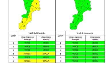 Criticità idrogeologica-idraulica e temporali in Calabria 19-12-2019