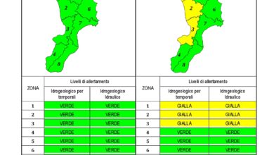 Criticità idrogeologica-idraulica e temporali in Calabria 20-12-2019