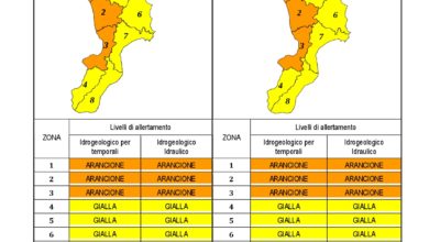 Criticità idrogeologica-idraulica e temporali in Calabria 21-12-2019