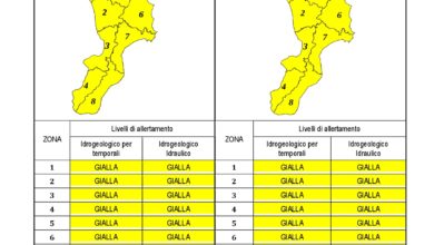 Criticità idrogeologica-idraulica e temporali in Calabria 22-12-2019