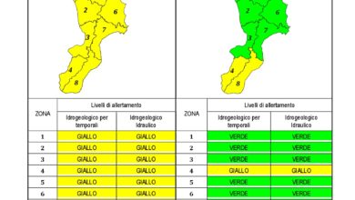 Criticità idrogeologica-idraulica e temporali in Calabria 23-12-2019