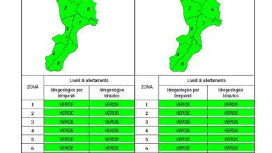 Criticità idrogeologica-idraulica e temporali in Calabria 31-12-2019