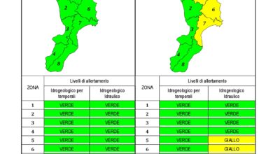 Criticità idrogeologica-idraulica e temporali in Calabria 19-01-2020