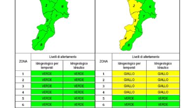 Criticità idrogeologica-idraulica e temporali in Calabria 27-02-2020