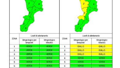 Criticità idrogeologica-idraulica e temporali in Calabria 02-03-2020