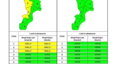 Criticità idrogeologica-idraulica e temporali in Calabria 03-03-2020