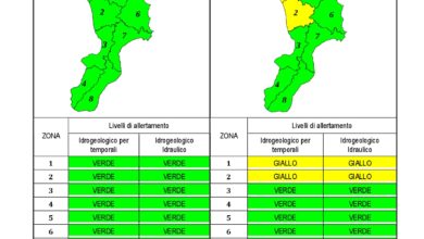 Criticità idrogeologica-idraulica e temporali in Calabria 05-03-2020