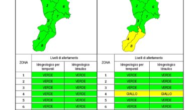 Criticità idrogeologica-idraulica e temporali in Calabria 21-03-2020