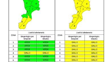 Criticità idrogeologica-idraulica e temporali in Calabria 24-03-2020