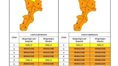 Criticità idrogeologica-idraulica e temporali in Calabria 25-03-2020