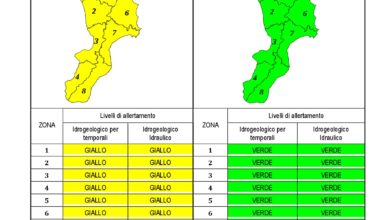 Criticità idrogeologica-idraulica e temporali in Calabria 27-03-2020