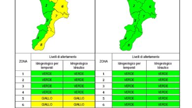 Criticità idrogeologica-idraulica e temporali in Calabria 03-04-2020