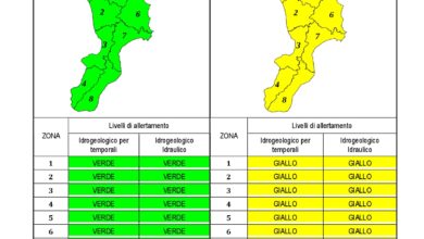 Criticità idrogeologica-idraulica e temporali in Calabria 20-04-2020