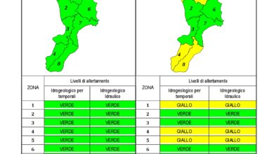 Criticità idrogeologica-idraulica e temporali in Calabria 19-05-2020