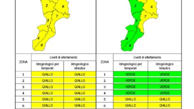 Criticità idrogeologica-idraulica e temporali in Calabria 30-05-2020