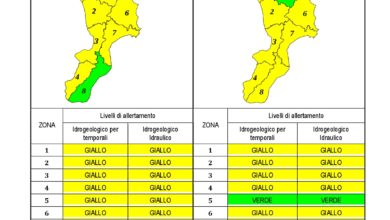 Criticità idrogeologica-idraulica e temporali in Calabria 21-06-2020