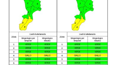 Criticità idrogeologica-idraulica e temporali in Calabria 23-06-2020