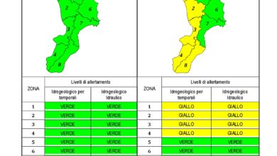 Criticità idrogeologica-idraulica e temporali in Calabria 14-07-2020