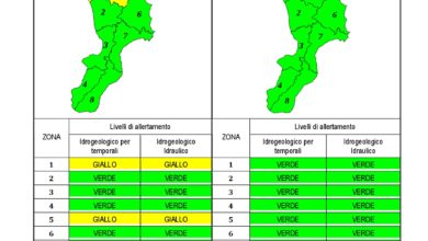 Criticità idrogeologica-idraulica e temporali in Calabria 25-07-2020