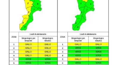 Criticità idrogeologica-idraulica e temporali in Calabria 04-08-2020