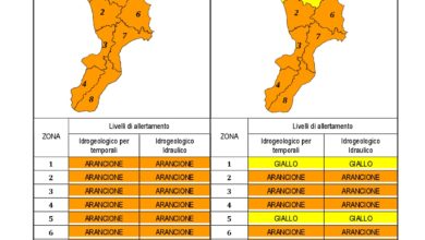 Criticità idrogeologica-idraulica e temporali in Calabria 07-08-2020