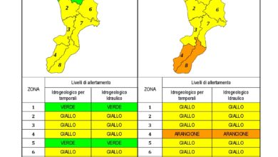 Criticità idrogeologica-idraulica e temporali in Calabria 16-09-2020