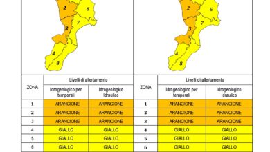 Criticità idrogeologica-idraulica e temporali in Calabria 25-09-2020