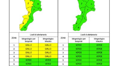 Criticità idrogeologica-idraulica e temporali in Calabria 16-10-2020