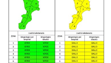 Criticità idrogeologica-idraulica e temporali in Calabria 26-10-2020