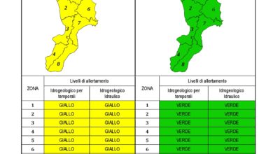 Criticità idrogeologica-idraulica e temporali in Calabria 28-10-2020