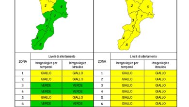 Criticità idrogeologica-idraulica e temporali in Calabria 16-11-2020