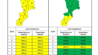 Criticità idrogeologica-idraulica e temporali in Calabria 23-11-2020